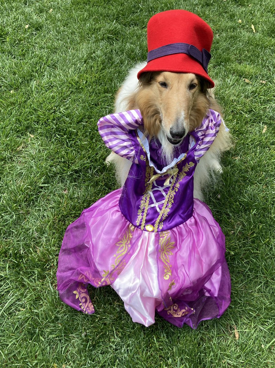red hat and purple dress poem When I am an old woman I shall wear purple With a red hat which doesn't go, and doesn't suit me. And I shall spend my pension on brandy and summer gloves