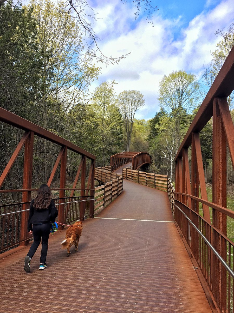 #Birthday weekend continues for Lucy. Great walk in the woods picking up sticks and found some nice bridges too! 🎁🎊

#dogs #dogsoftwitter