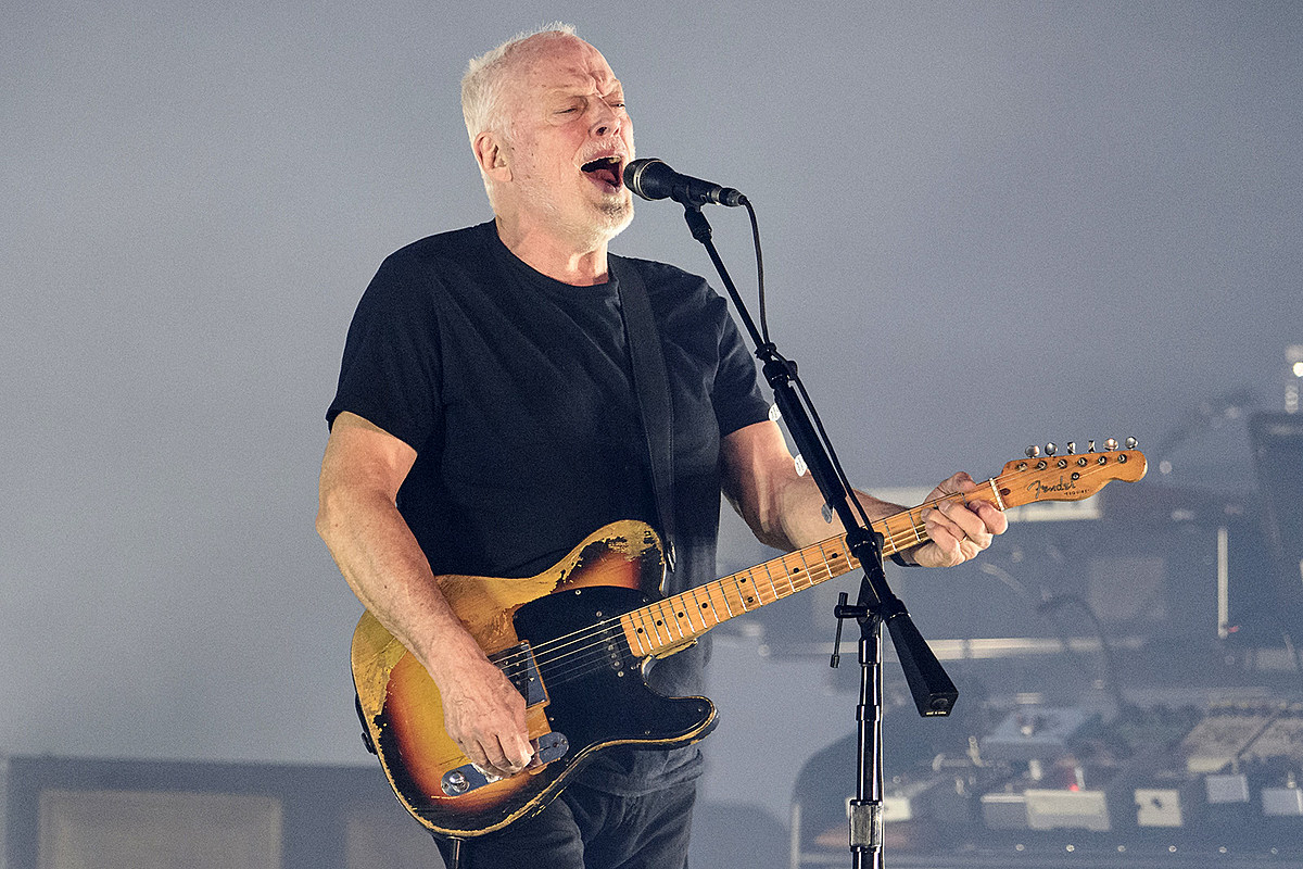 lofcr1's tweet photo. What is your favorite song from David Gilmour? https://t.co/FK0KPysbcw