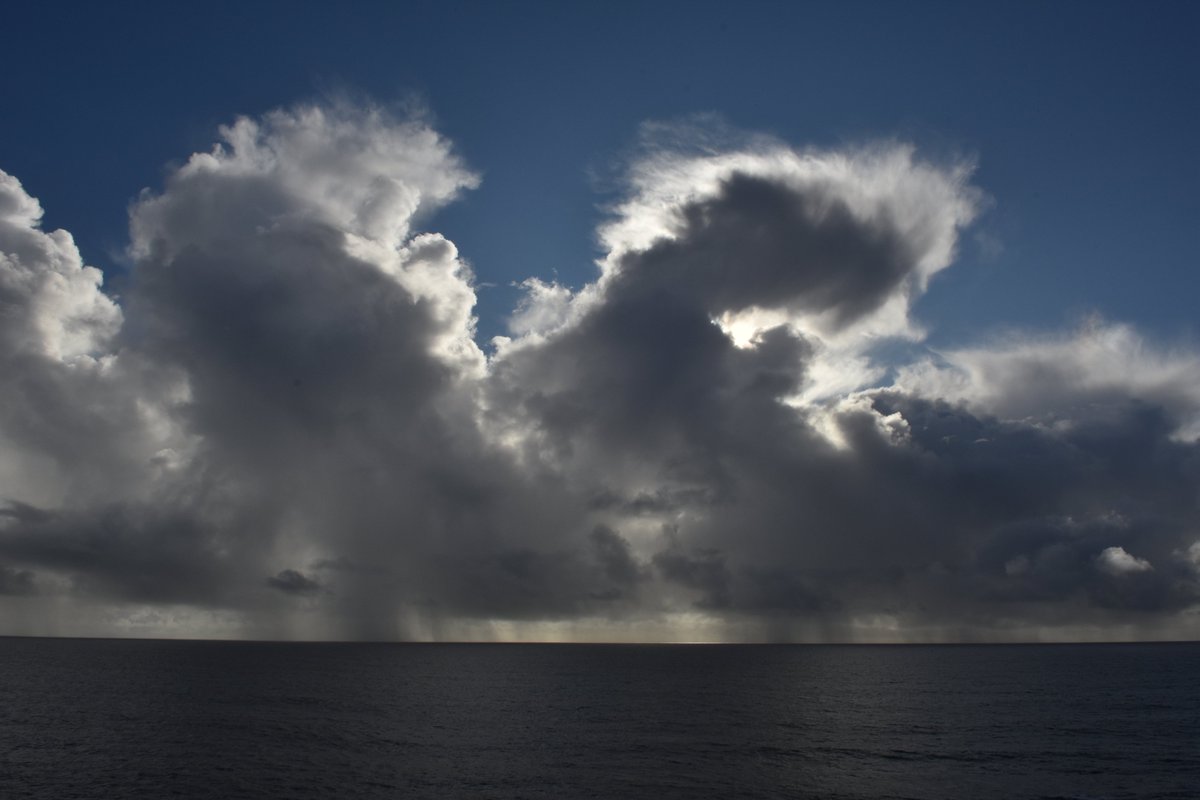 John Lindsey tweet media