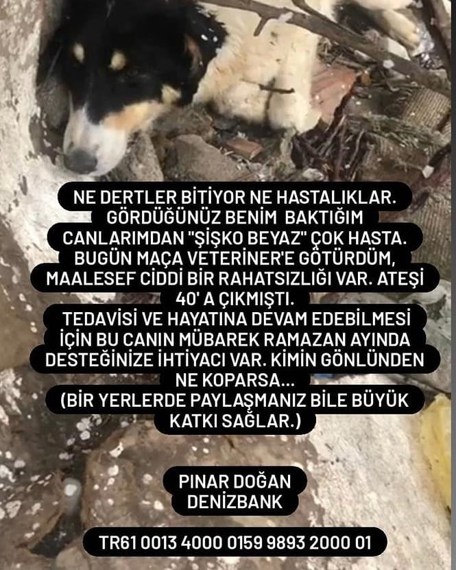 Desteğinize ihtiyacımız var 🙏