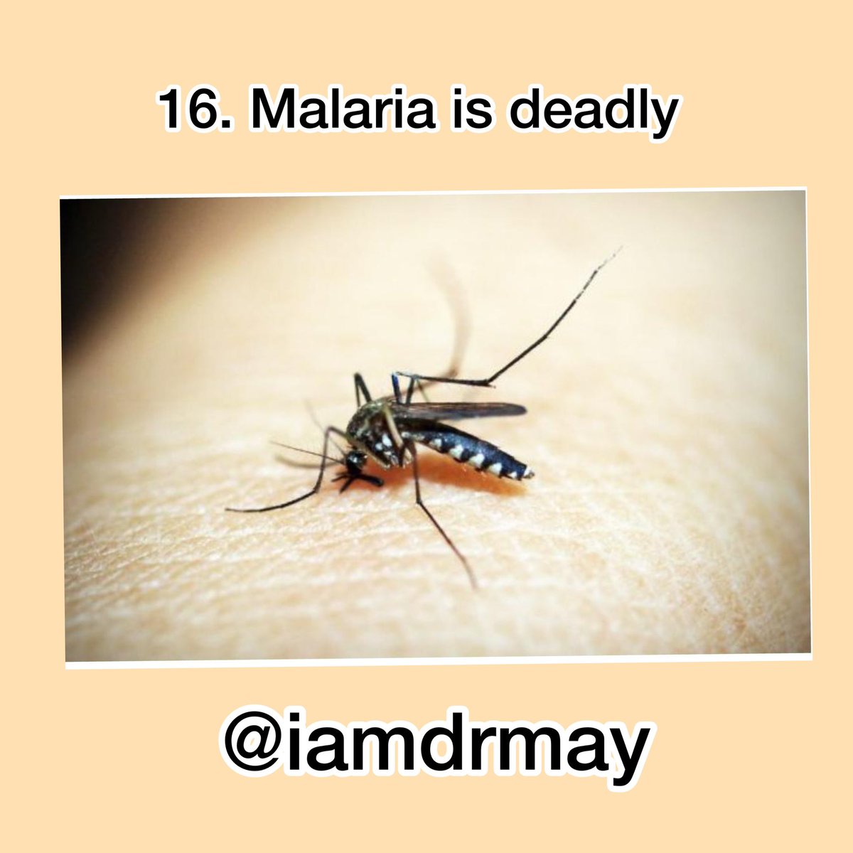 Malaria kills almost half a million people yearly. A staggering 93 percent of these deaths happen in sub-Saharan Africa. And most of them are children. In fact,malaria is one of the deadliest diseases for children under 5years of age there. Every 2mins, a child dies 4m Malaria