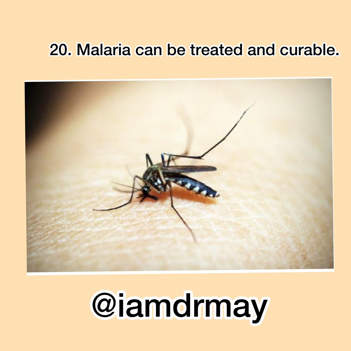 Yes, Malaria can be treated and cured . And more, Malaria is NOT typhoid. Don’t be unfortunate and confuse both. Do the needful and stay safe  #WorldMalariaDay2021 .End of story.Be kind to RETWEET to save a life today .Yours in health & wellness #drmaymunahspeaks