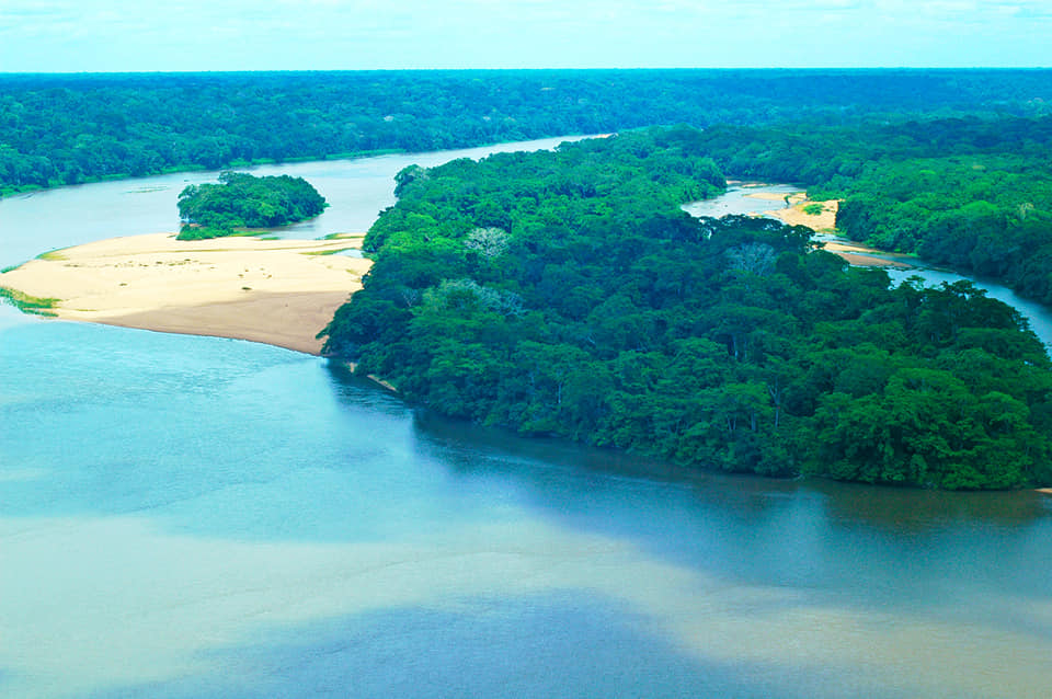 Fridolin Ngoulou tweet media