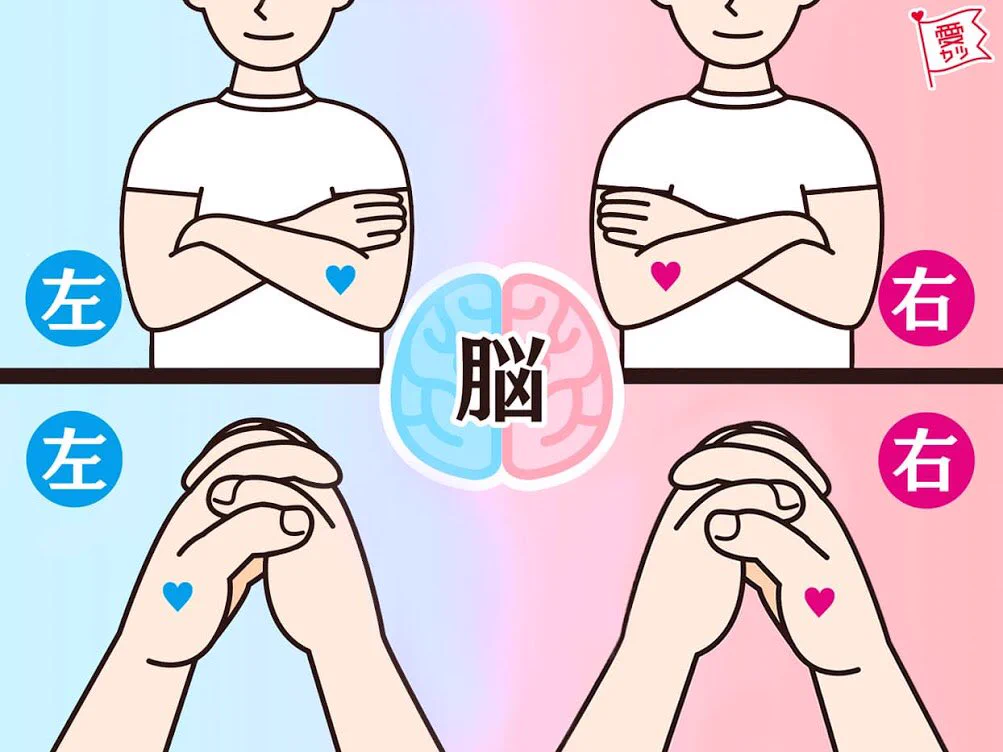 指＆腕組みで分かる利き脳！あなたはどのタイプ？