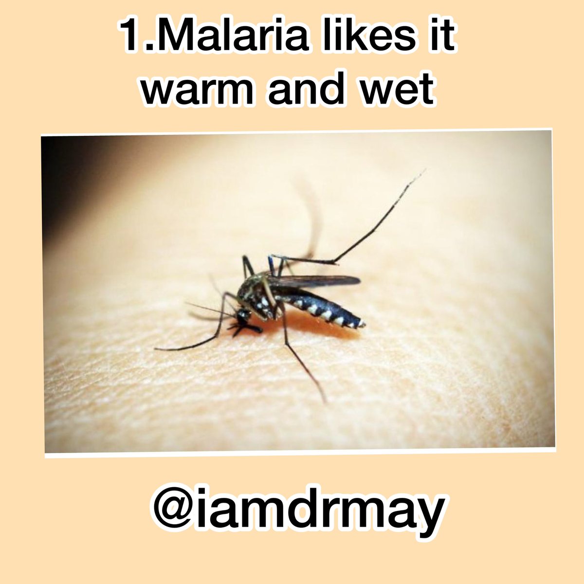 Malaria thrives in the warm, wet, and humid temperatures found in many tropical and subtropical countries. In these types of conditions, the mosquitos that carry malaria can survive and multiply