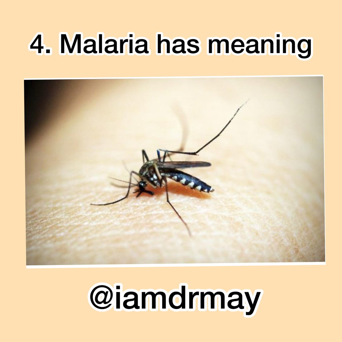 Malaria is a combination of two Italian words, “mal” and “aria,” which together means “bad air.”Before it was discovered that mosquitos transmitted the disease, pple thought the culprit was the bad air near marshes and swamps. That’s why the disease was first called marsh fever