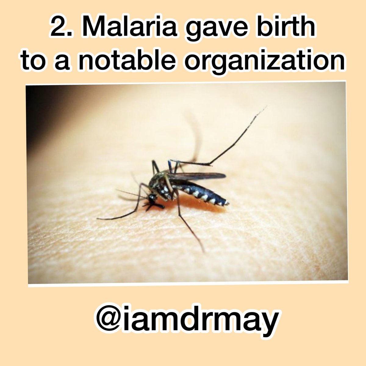 The Centers for Disease Control and Prevention (CDC) is in existence today because of malaria. It began in 1946 as The Communicable Disease Center, and its primary purpose was controlling and eliminating malaria in USA. At that time, the south still had a huge malaria problem