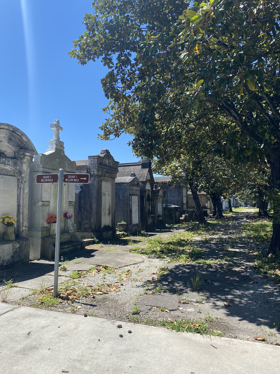 slayyyter's tweet image. ⚜️⚜️⚜️