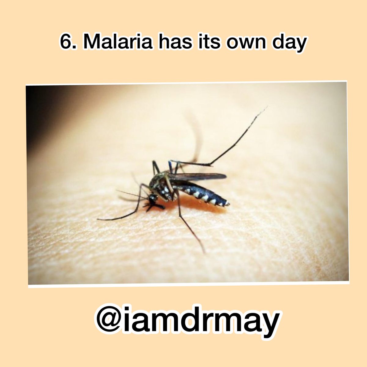 Every April 25 is  #WorldMalariaDay when the world focuses on the devastating effects of malaria and the advances made to defeat the disease. Hence I’m enlightening us about malaria today..