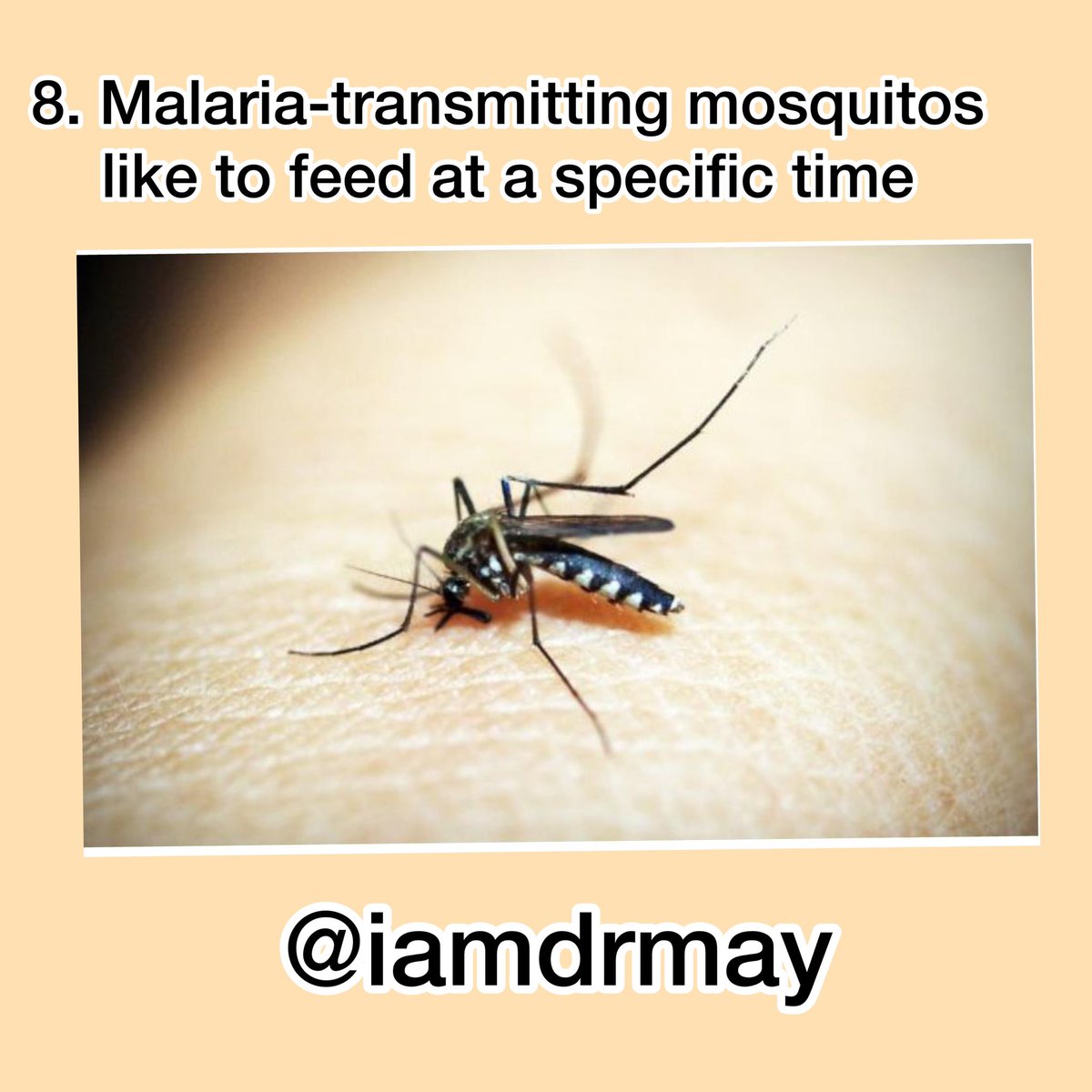 Like vampires, most malaria-spreading mosquitos prefer to feed at night. And some even prefer feeding indoors rather than outdoors.  #WorldMalariaDay2021