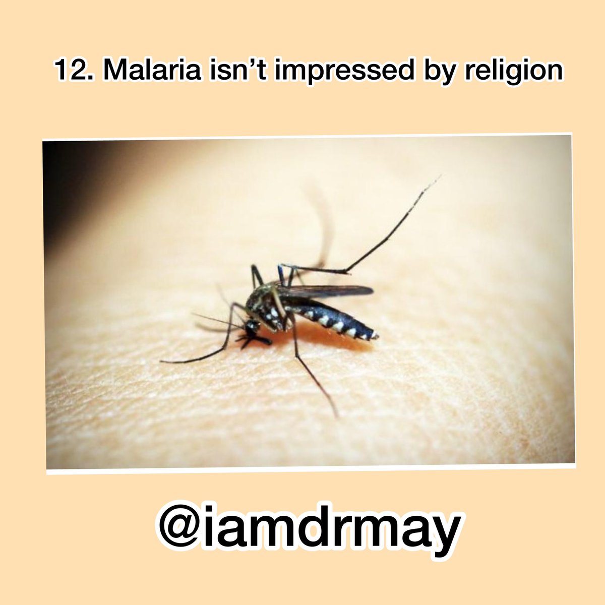 Malaria doesn’t respect your religious belief or group  #WorldMalariaDay2021