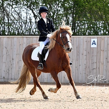 BowelWarrior's tweet photo. One thing about this shitty disease it has stopped me doing some of things I love, one thing is riding, but I can still spend time with the ponies and enjoy my daughter riding - my daughter has nicked my pony now...   Yesterday she made me very proud wining 1st &amp; 6th in dressage https://t.co/egmBKzIGYZ