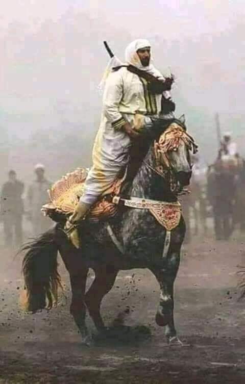 EslamMAli13's tweet photo. قالت العرب قديما:
من لم يعشق الخيل،ولايتذوق الشعر ففي عروبته نظر...! https://t.co/nGC7PzVJ8O