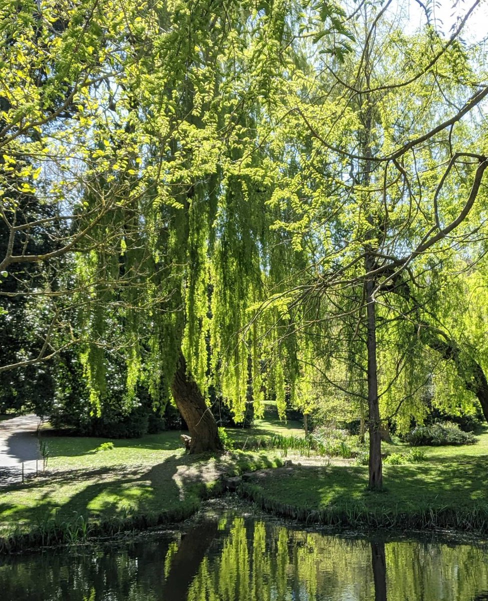 A beautiful day today to walk Section 11 of the <a href="/TfL/">TfL</a> #GreenChainWalk from Crystal Palace to Nunhead Cemetery 🚶🏼‍♀☀️

#SpringWalks #ExploringLondon #WalkLondon #ActiveApril #Nature #UrbanWalks #SouthLondon