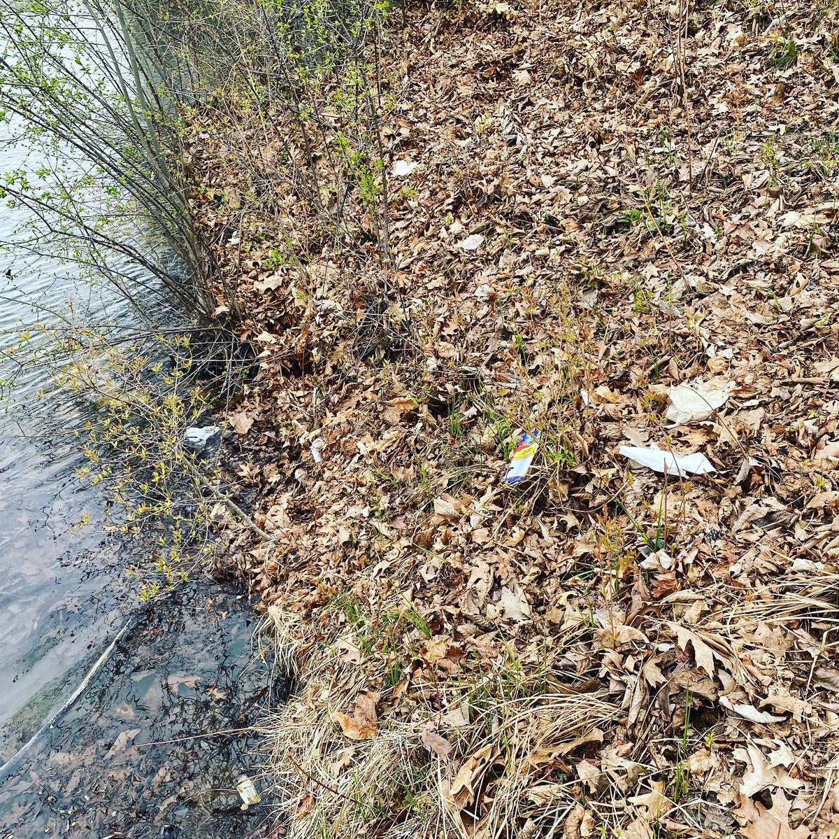 LakeFiveMi's tweet photo. Even though we weren’t able to hold a public cleanup, a few board members were able to get out and clean a local park. Here’s to already planning Earth Week 2022 activities! #EarthWeek2021 https://t.co/vQavnknPK9