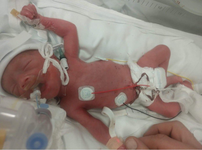 Helen Ball tweet media