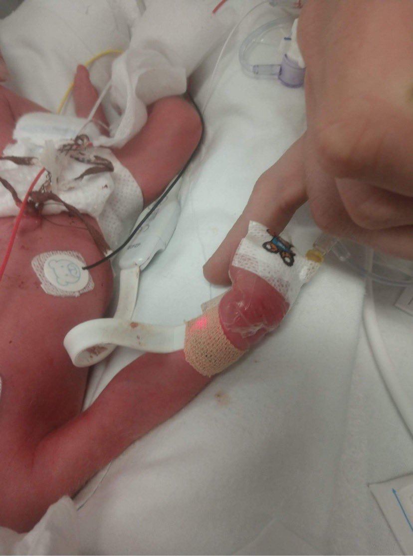 Helen Ball tweet media