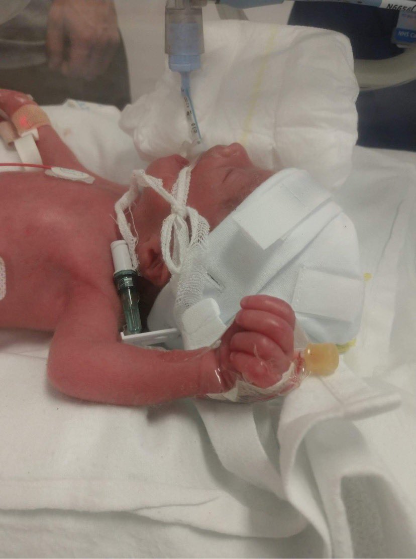 Helen Ball tweet media