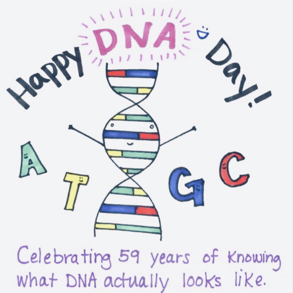 #WorldDNADay اليوم العالمي_لDNA
هذي اليوم يوم تاريخي مميز و فيه يتم الاحتفال بمناسبة اكتشاف آلية و شكل تركيب ال DNA 🧬 و نبارك لكل المختصين في الوراثة و الاحياء الجزيئيّة و الكيمياء الحيوية و التقنية الحيوية في يومهم السعيد