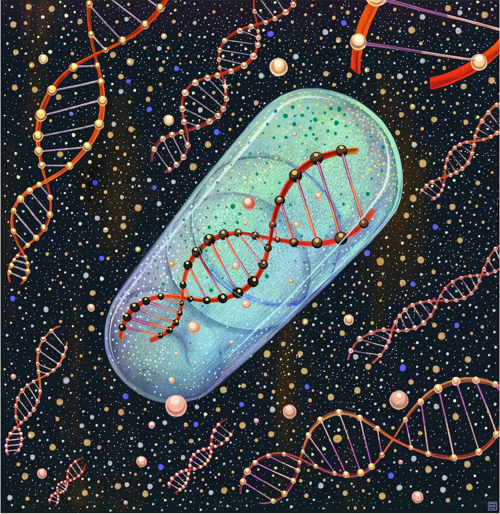 Aylin_Sdqy's tweet photo. میدونید امروز روز جهانی DNA بود.کاش میشد ژن کم عقلی . بی لیاقتی رو توی بعضیا خاموش کرد.....
تگ نمیکنم وایرال تر نشین.....
#حق_مکتسبه
#تعویق_ارشد_پزشکی https://t.co/2EdHHgqkcG
