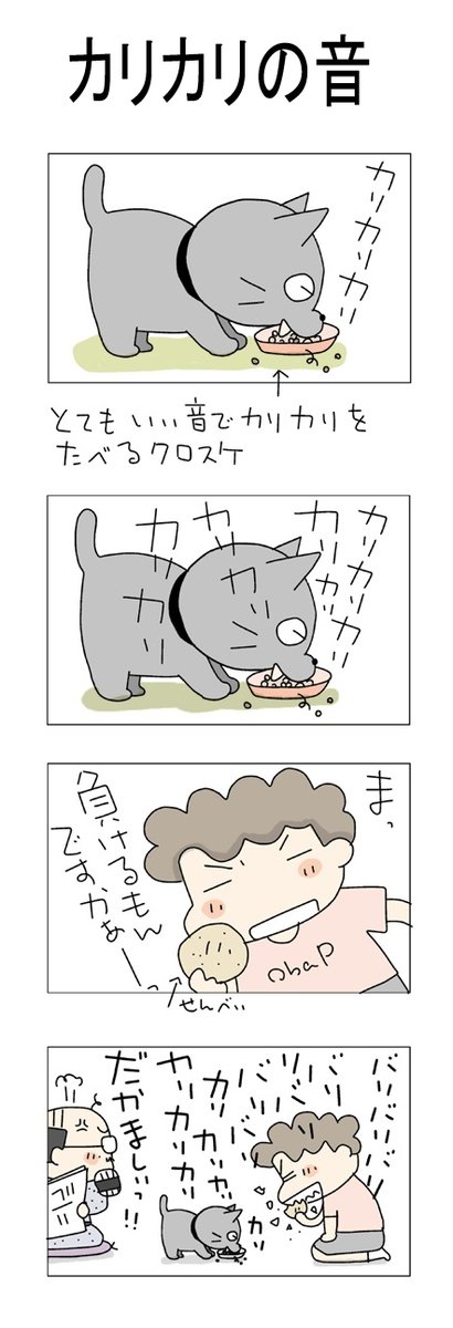 カリカリの音
#こんなん描いてます
#自作マンガ #漫画 #猫まんが 
#4コママンガ #NEKO3 