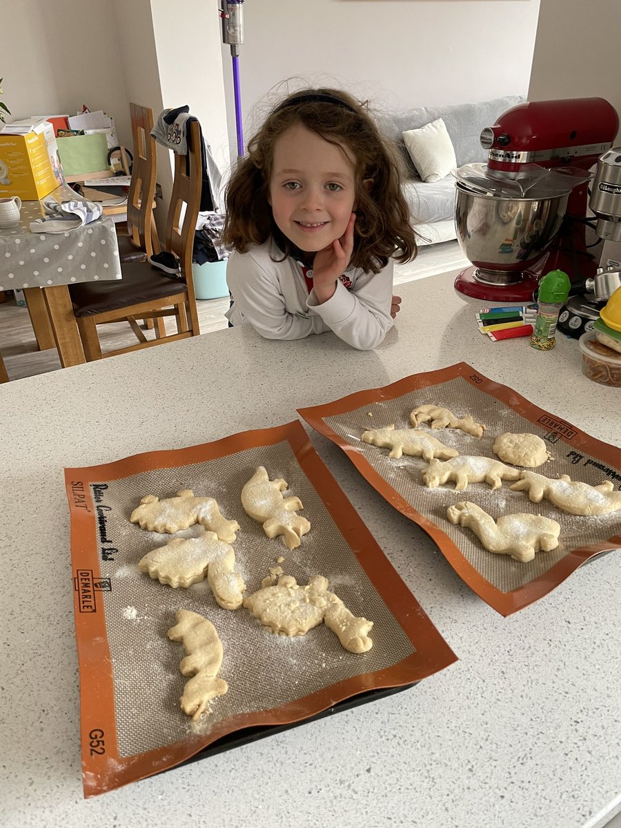 hector_becky's tweet photo. @HCS_Reception when #alphabetweekends is #Dd then it has to be a Dinosaur weekend for E! Starting with painting a scene from Dinosaur train, making dinosaur sticker scenes in her Dinosaur bedroom and finishing the weekend off making diary free dinosaur biscuits 🦖🦕 https://t.co/GVNHFoKCM4