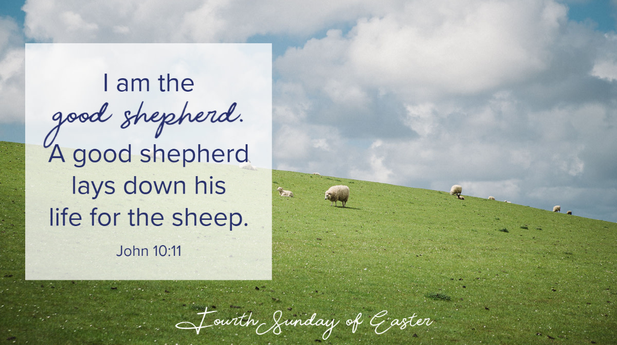 A willing victim. That's Jesus in today's Gospel about the Good Shepherd. "No one takes my life from me, but I lay it down on my own."

Read more in today's Gospel Meditation: bit.ly/2S2LufH