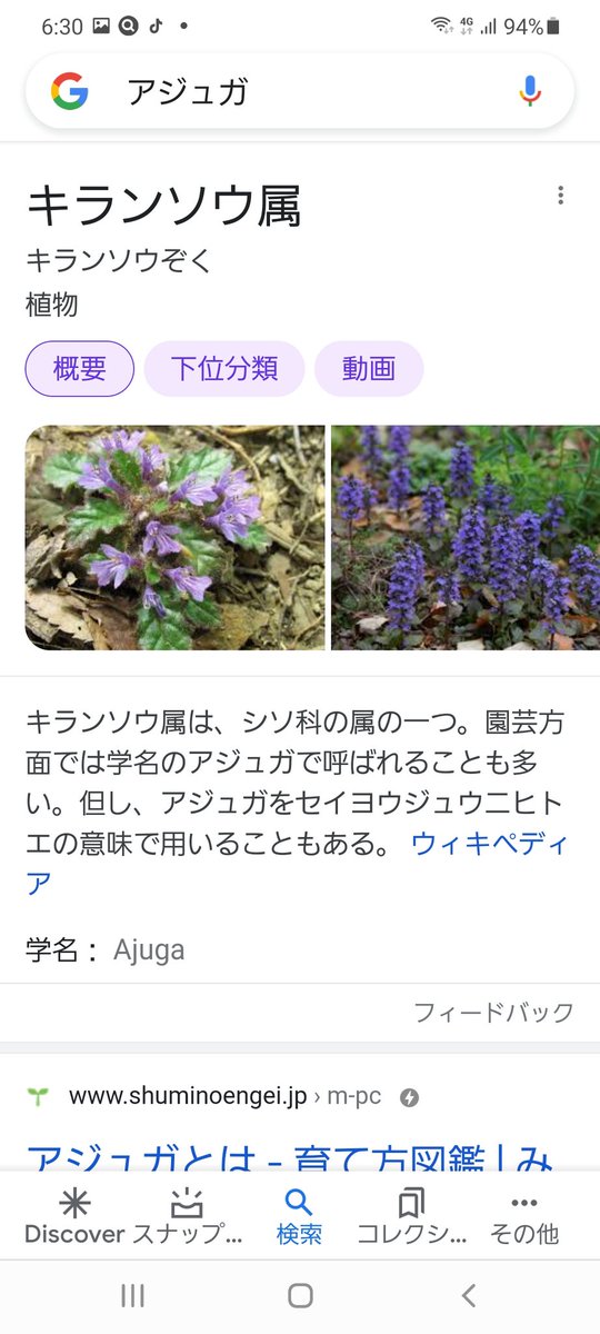 Rose Kumi こちらの公園には のアーチがあります 横浜 山下公園の薔薇園もまた行きたくなります Twitter