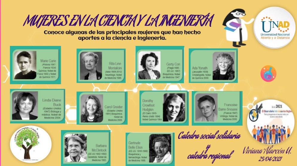 vivi alarcon tweet media