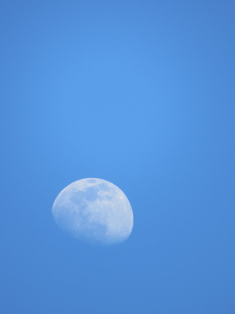 danielaasoto_'s tweet photo. recopilación de fotos del cielo y la luna:-)) https://t.co/lZWoZEnRWQ
