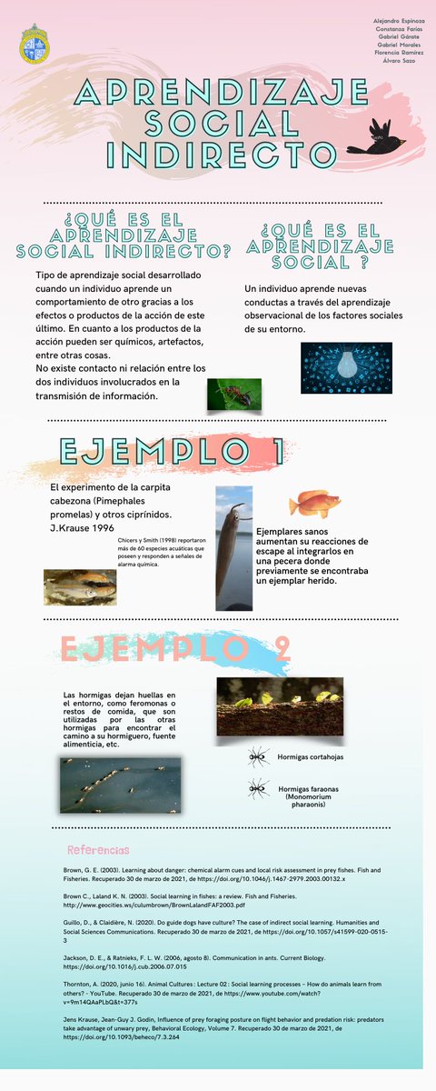 ¿Y qué nos comparten sobre el aprendizaje indirecto Alejandro Espinoza, Constanza Farías, Gabriel Gárate, Gabriel Morales,  Florencia Ramírez y Álvaro Sazo?