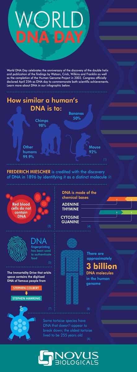 #WorldDNADay اليوم العالمي_لDNA
هذي اليوم يوم تاريخي مميز و فيه يتم الاحتفال بمناسبة اكتشاف آلية و ش...