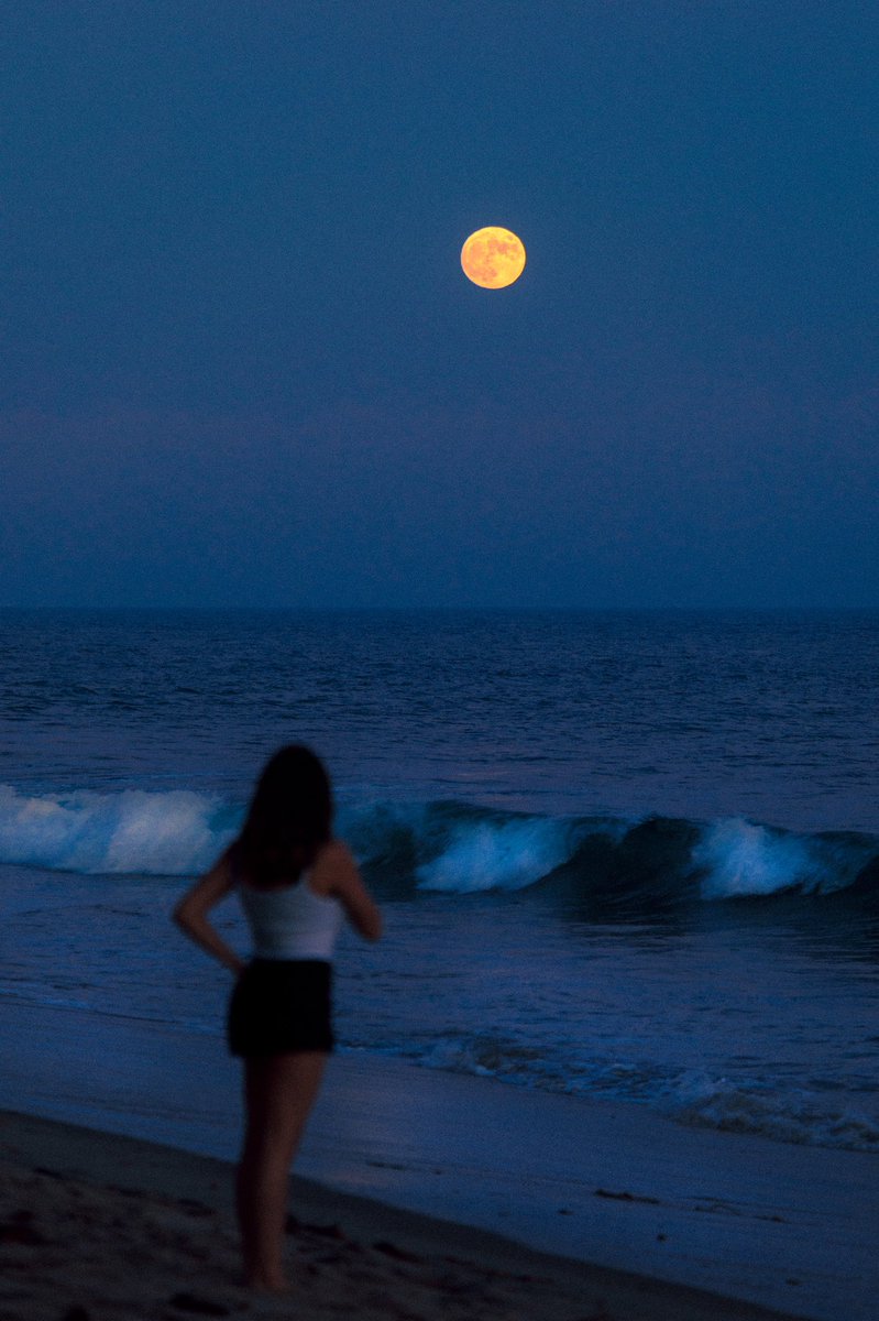 nickjrufo's tweet photo. blue hour https://t.co/Dhy1Tv9bzZ