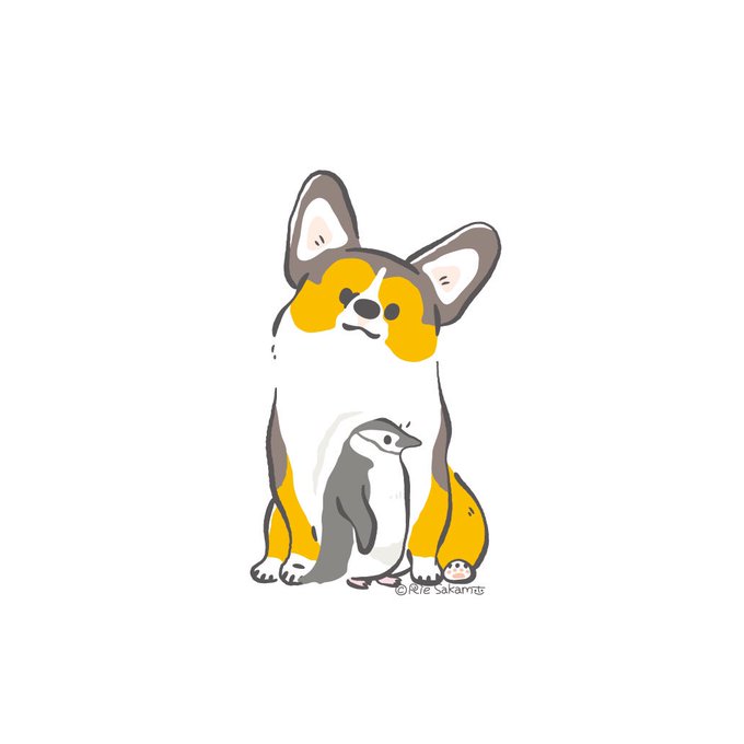 「corgi」のTwitter画像/イラスト(新着))