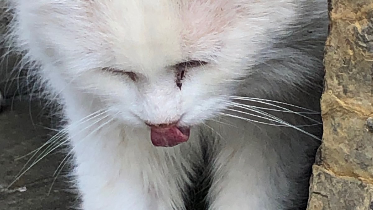 Seen on a walk. Made me laugh!