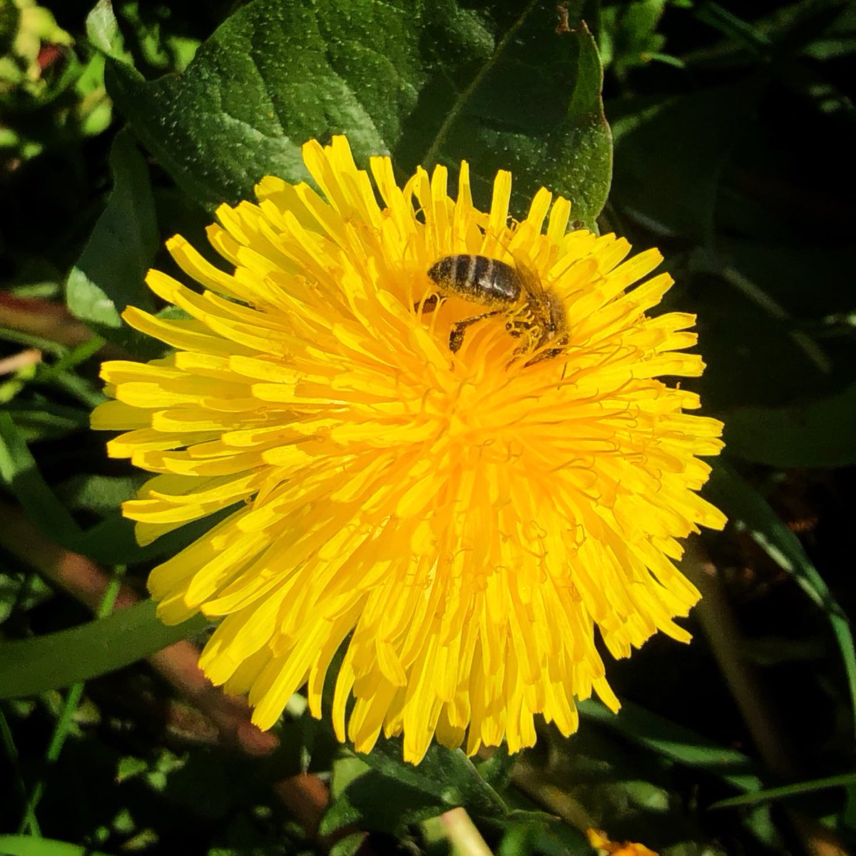 ‘Vocations Sunday’? Be radiant- and give life!