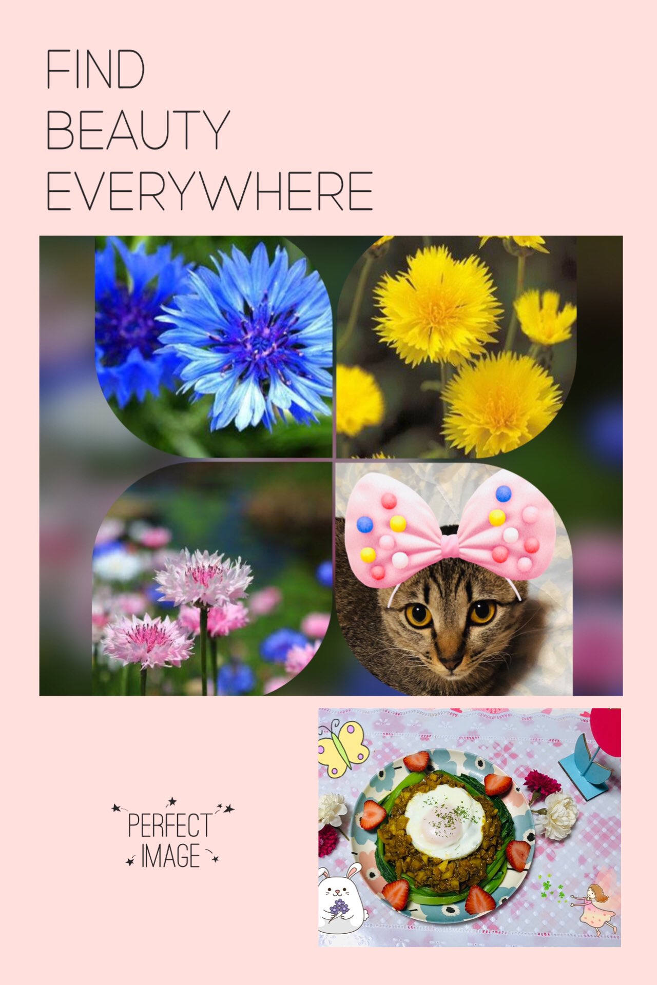 まみちゃま おはよう ４月26日誕生花 ヤグルマギク ドイツ語花言葉 私は希望をあきらめない 英語花言葉 優美 優雅 フランス語花言葉 繊細 韓国語花言葉 幸福 注意 独身者に贈る場合 いきおくれと言う意味もあります 素敵な一週間になりますように 今週