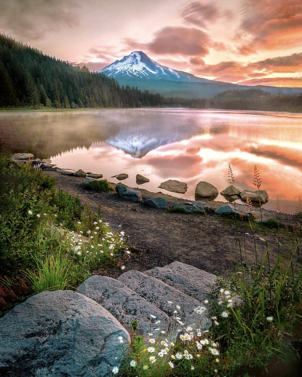 trvl_ultd's tweet photo. #Oregon #USA 
#pnw #cascadia #westcoast #hiking #camping #sunrise #sunset #trekking #woods #nps #mountains #wilderness #love 
#trvl_ultd #travelblogger #photographer #travel #adventure #discover #explore #nature #landscape #outdoors #travelgram #instagram 
https://t.co/24LTa4ULML https://t.co/KFIpgQB69S