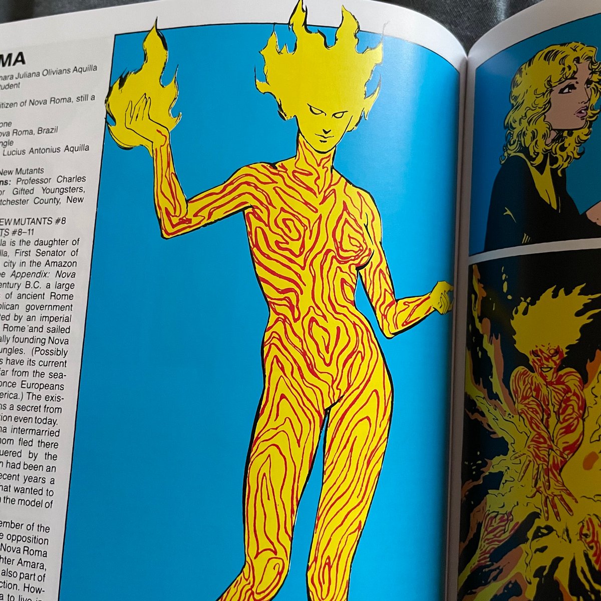 I’d love to see some queens doing a really polished take on these full body paint looks. The Magma look could be stunning but so difficult to achieve. I would love to see  @thegigigoode make a wig that matched Nova’s fire hair in height and color.