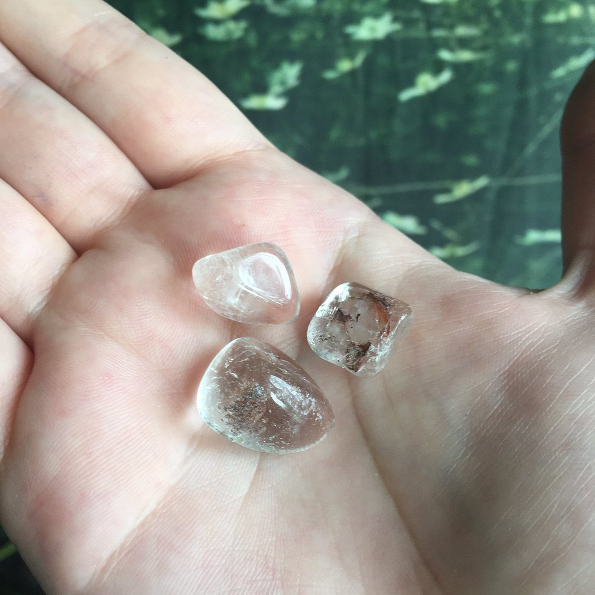 ✨Mother’s Day Gift Set✨

- Moth-er’s Day Card
- Random Butterfly Wing Jar
- Tiny Tumbled Quartz Pebble

✨sickcuriosity.com✨