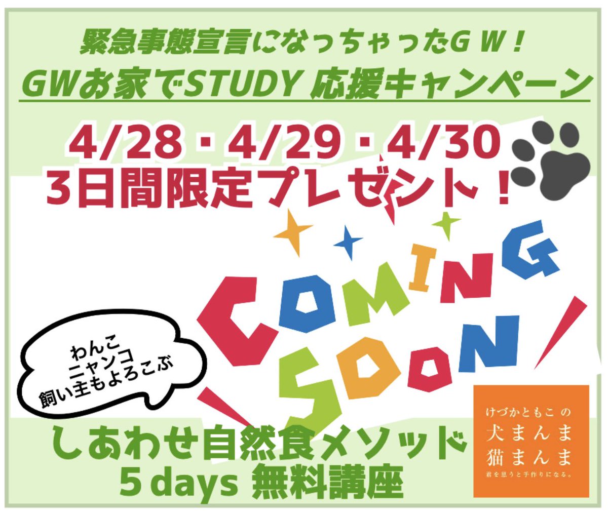 犬まんま猫まんま Kezuka Manma Kezuka5 Twitter