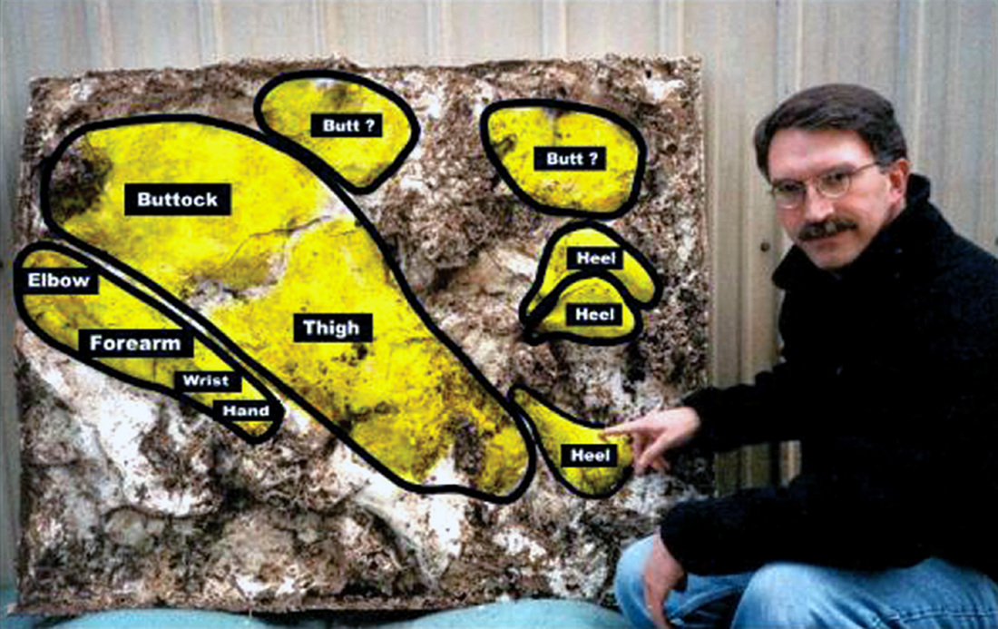 Goldrushcomic's tweet image. On the #PPPodcast @Trey_Explainer  and I talked to Jeff Meldrum about the The Skookum Cast. Here it is marked by Jeff, highlighting what he thinks are the bigfoot impressions.
I like the double "Butt?" "Butt?" section myself.