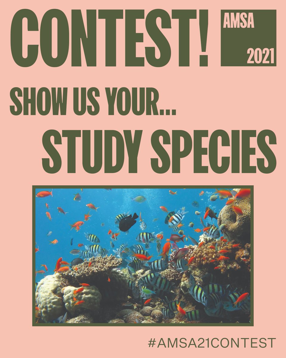 Looking for discounted registration and social media glory? Our social media contest via Twitter and Instagram begins today!!

This week’s theme: ‘Show Us Your Study Species’