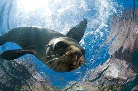 Plan a summer vacation your whole family will never forget! - mailchi.mp/5e9fd6053e0b/p…