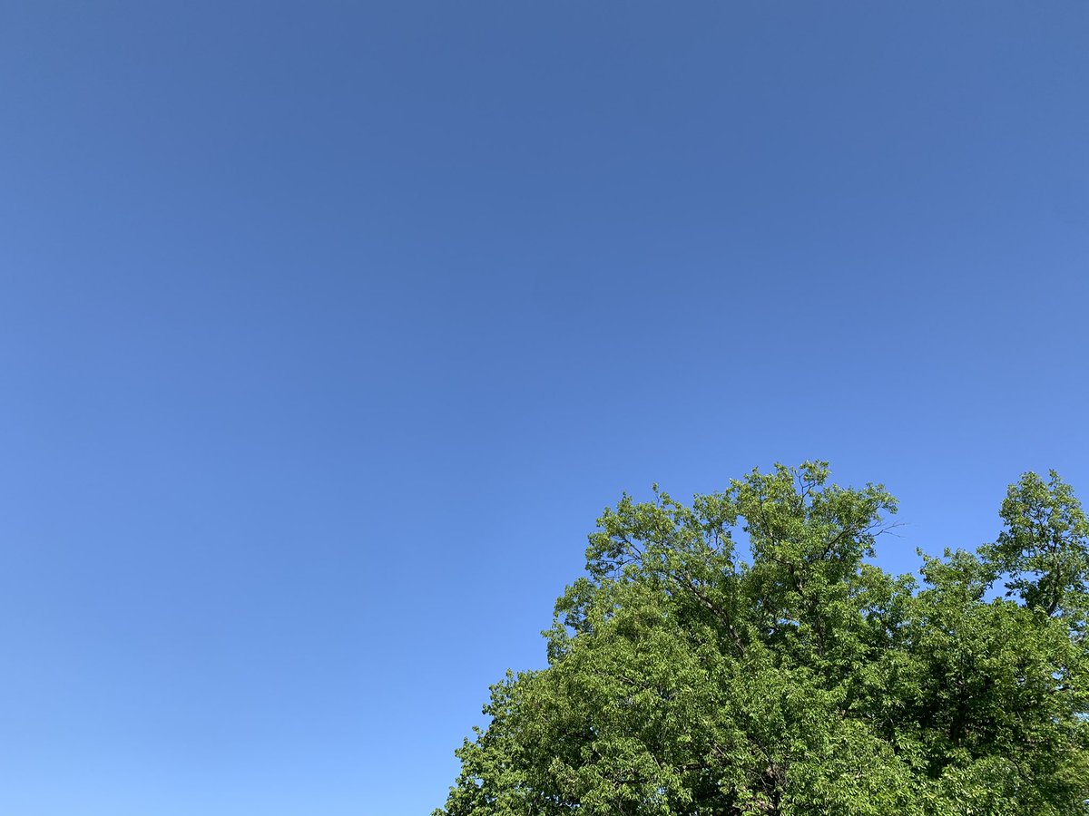 荒木健太郎 すこし肌寒い晴れ空 荒木健太郎 すこし肌寒い晴れ空