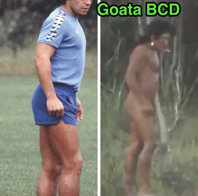 Front Chain Dominance (FCD) vs Back Chain Dominance (BCD) A thread on the GOATA systemAnd how to heal low back pain, disc herniations, sciatica, thoracic kyphosis, and all of the most frequent pains + ailments I see in clients  https://twitter.com/Rattleclaw1/status/1386388754252828674