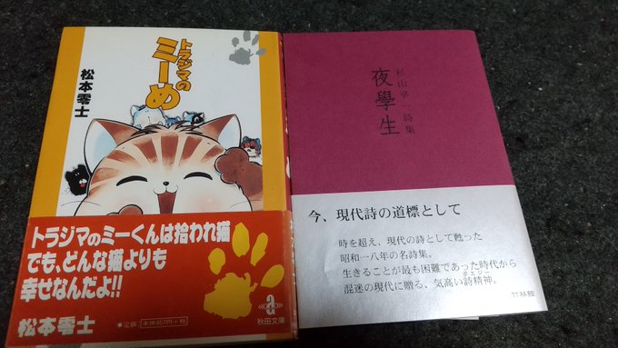 トラジマのミーめ 古書ますく堂のなまけもの日記