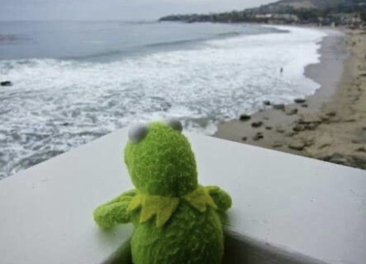 nursefortruths's tweet photo. $XRP Holders waiting for the government corruption to end so they can get their beach property away from the system. https://t.co/lZ2NNb8Pk5