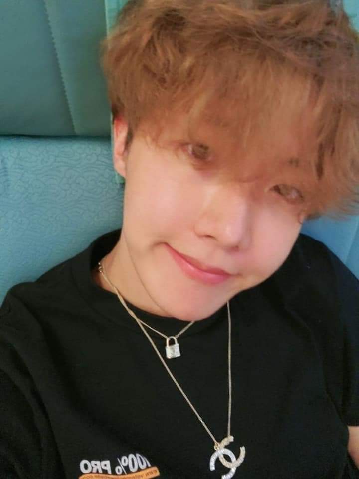 Barefaced hobi ; a thread